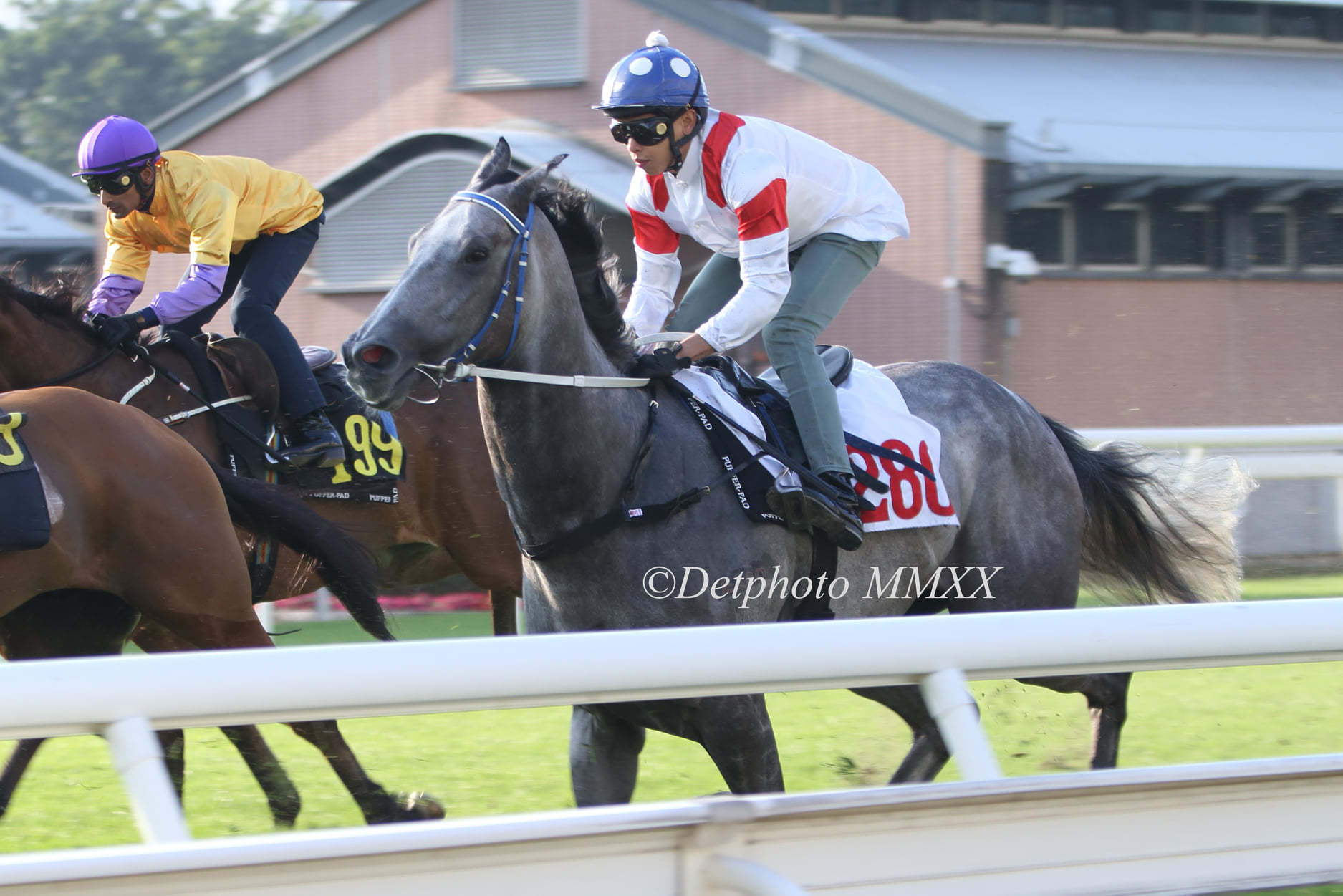 馬場自衛隊| 新的賽馬貼士模式贏馬廣場