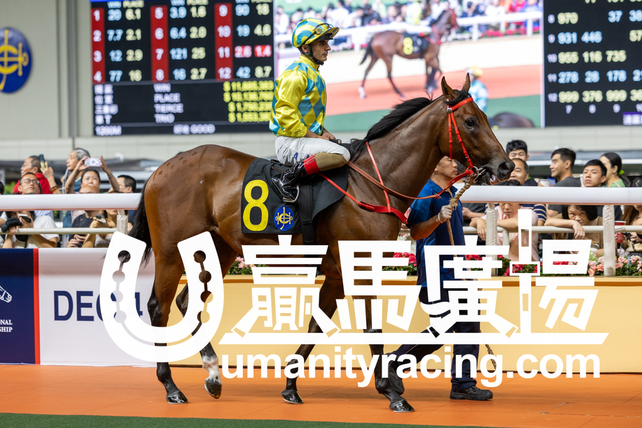 知道長勝