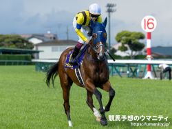 【大阪盃 2024】ROBOTIP 獲勝率預測 重視馬匹實力的預測 SOL ORIENS (JPN) 初日高升評為首位| 賽馬新聞 | 新的賽馬貼士模式贏馬廣場