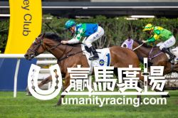 【賽日焦點】潘頓達成香港第1700場頭馬里程碑| 賽馬新聞 | 新的賽馬貼士模式贏馬廣場