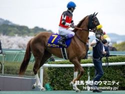 【日本橡樹大賽2024】勝馬預測金言錄：「日本橡樹大賽將輪到一匹在櫻花賞中稍微欠運的馬。」| 賽馬新聞 | 新的賽馬貼士模式贏馬廣場