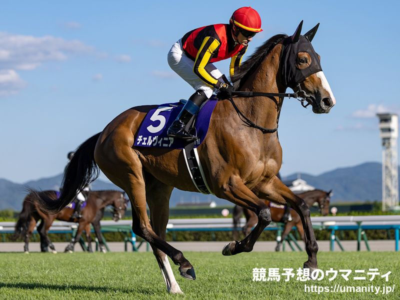 新的賽馬貼士模式贏馬廣場