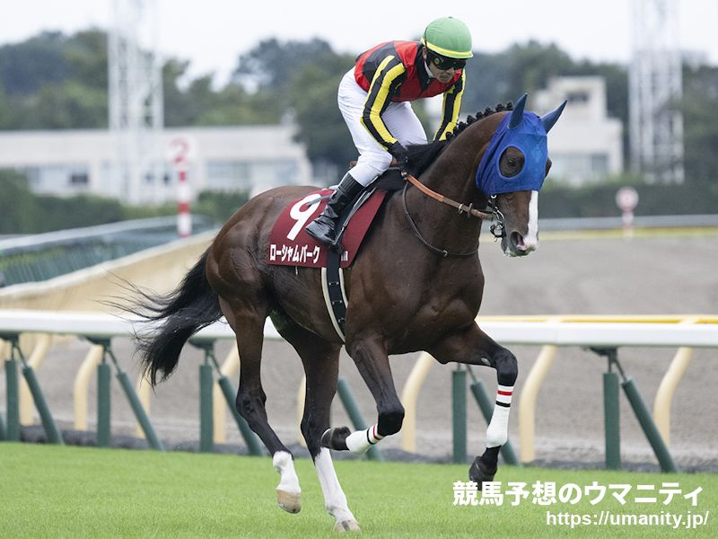 新的賽馬貼士模式贏馬廣場