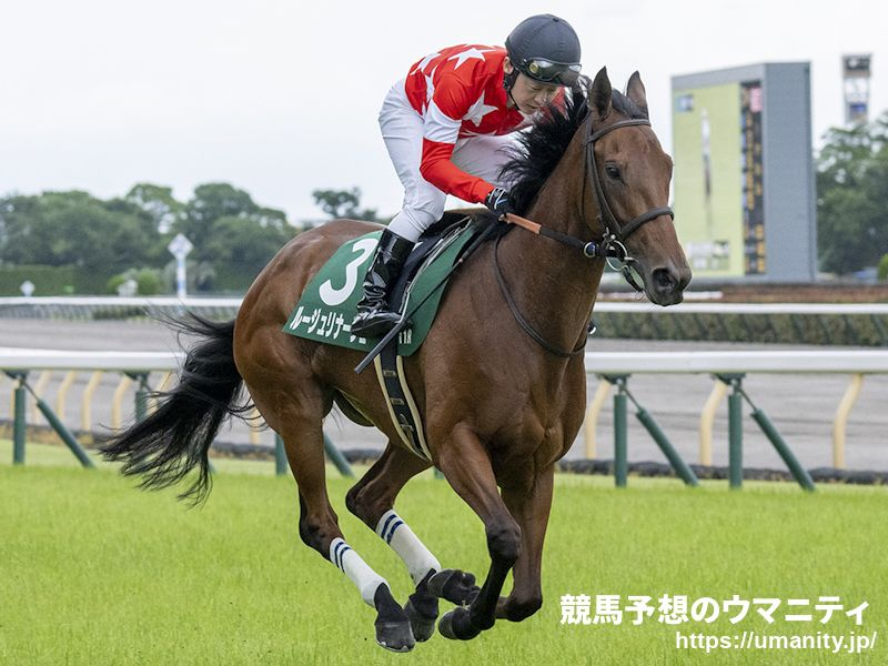 新的賽馬貼士模式贏馬廣場