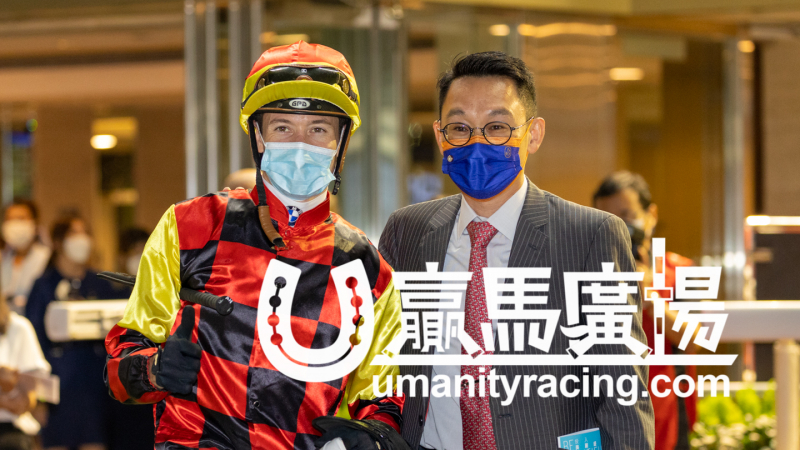 賽日焦點 丁冠豪連勝8個賽馬日進佔練馬師榜榜首 賽馬新聞 新的賽馬貼士模式贏馬廣場