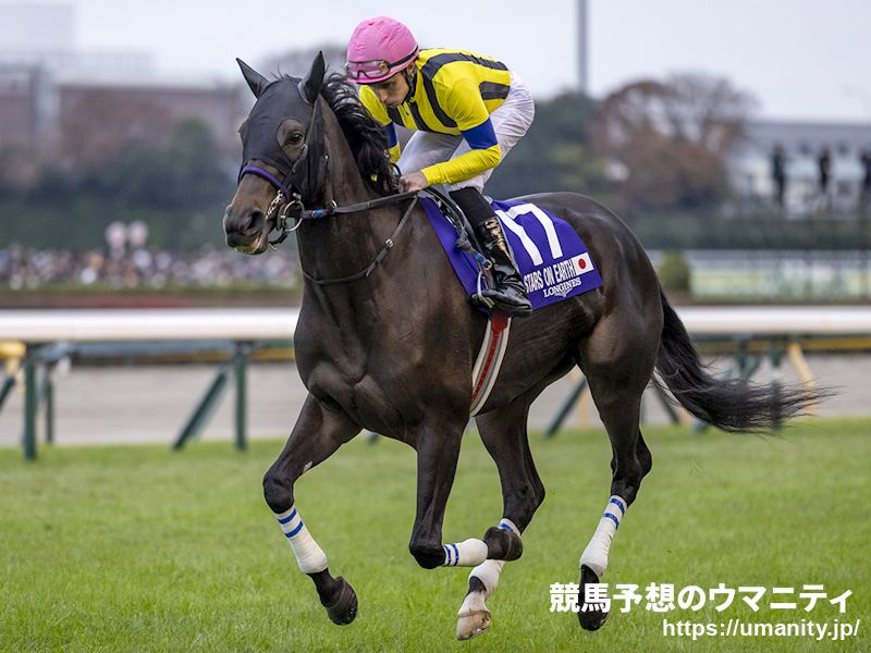 新的賽馬貼士模式贏馬廣場