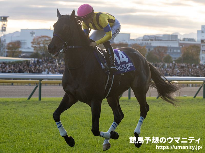 新的賽馬貼士模式贏馬廣場