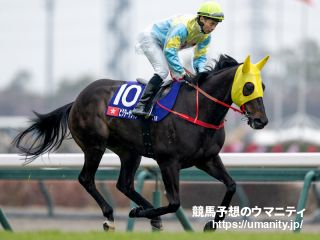 新的賽馬貼士模式贏馬廣場