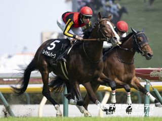 【大阪盃 2024】 Nora～ri勝馬預測金言錄 在大阪盃有機會闖出一番作為的馬未來有機會聲名大噪 | 新的賽馬貼士模式贏馬廣場