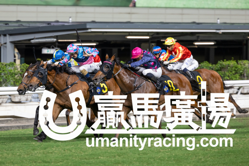 【賽日焦點】黎昭昇贏「耀寶駒」捧走香港交易所盃 | 新的賽馬貼士模式贏馬廣場