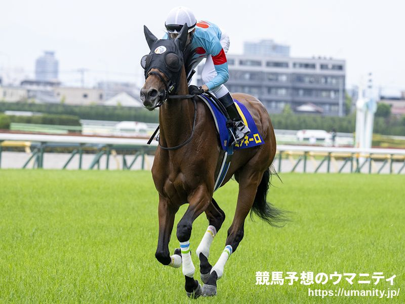 新的賽馬貼士模式贏馬廣場