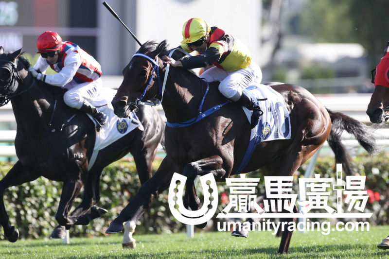 【賽日焦點】「超級軍團」勝出百週年紀念銀瓶 | 新的賽馬貼士模式贏馬廣場