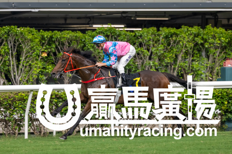 【賽日焦點】潘頓3W大演帽子戲法 | 新的賽馬貼士模式贏馬廣場