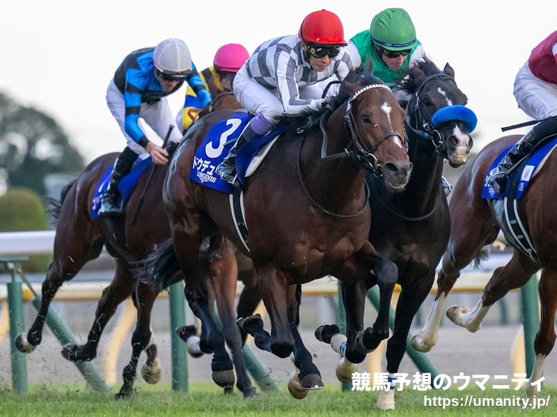 新的賽馬貼士模式贏馬廣場