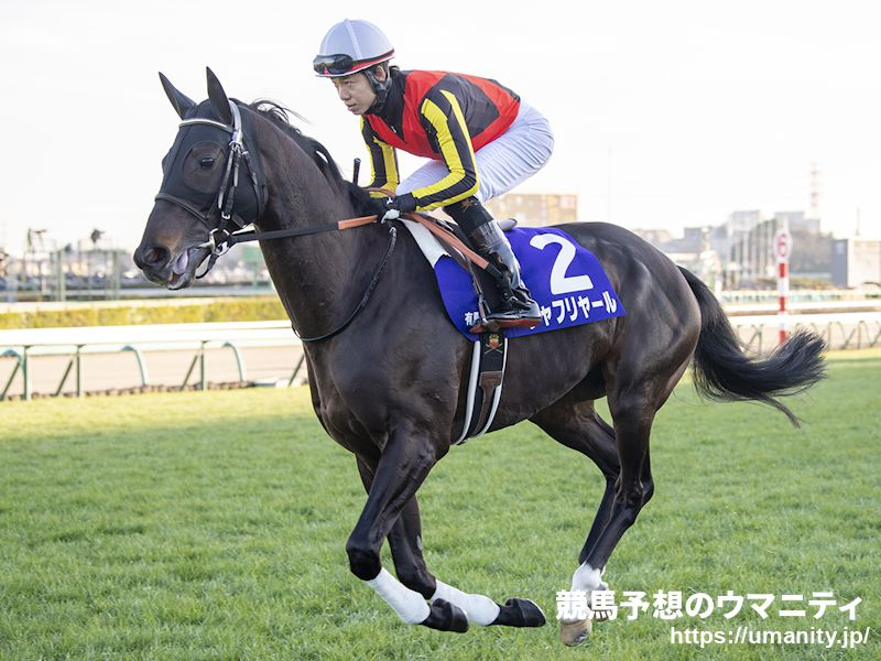 新的賽馬貼士模式贏馬廣場