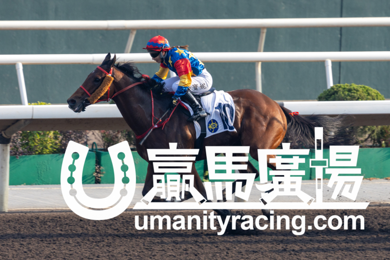 新的賽馬貼士模式贏馬廣場