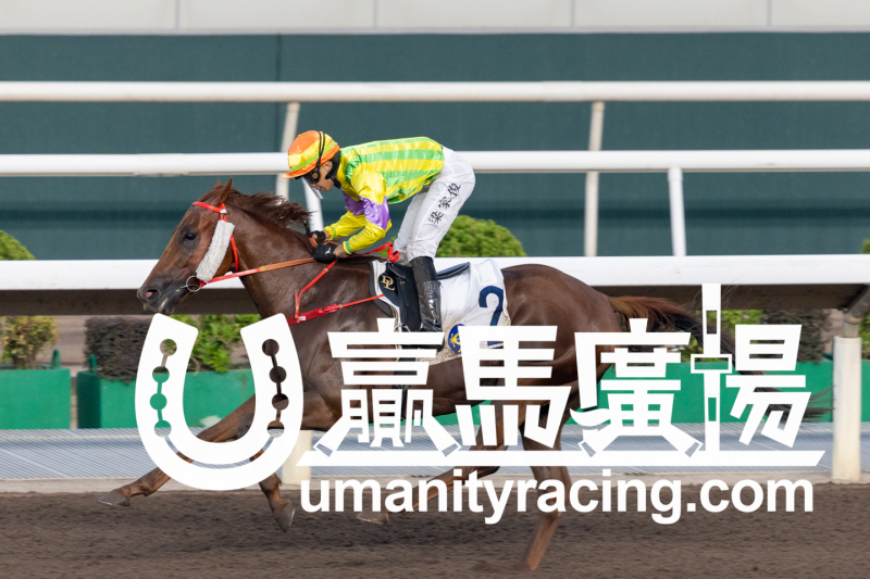 新的賽馬貼士模式贏馬廣場