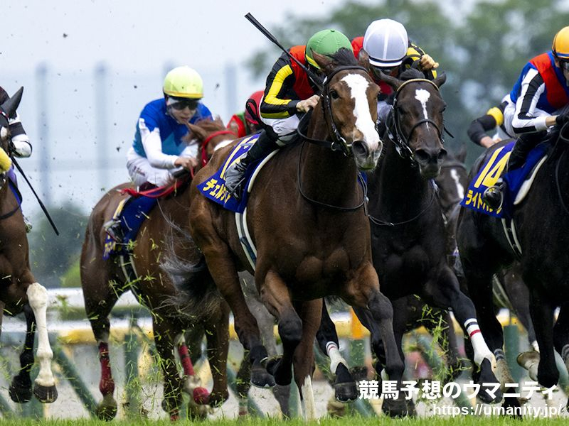 【秋華賞2024】直擊！晨操大檢閱（星期三版） CERVINIA (JPN) 雪嶺熱點 (日)朝著二冠路進發！KOGANENO SORA (JPN)飛霞灑金 (日)、SEKITOBA EAST (JPN) 東赤兔 (日)、MI ANHELO (JPN) 心傾慕 (日) 等馬匹狀態極佳！ | 新的賽馬貼士模式贏馬廣場