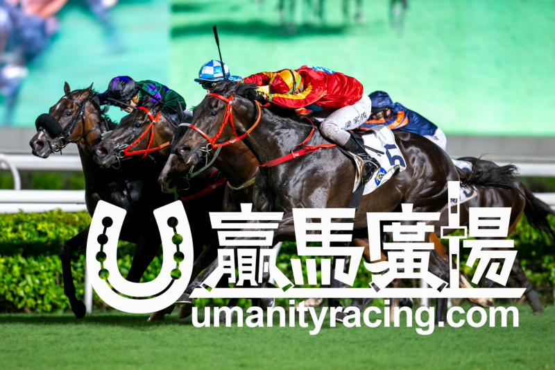 【賽日焦點】「安遇」勝出香港馬主協會錦標 | 新的賽馬貼士模式贏馬廣場