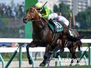 新的賽馬貼士模式贏馬廣場