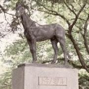 810887d47b | 專家介紹 | 新的賽馬貼士模式贏馬廣場