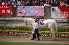 2b17d0b331 | 專家介紹 | 新的賽馬貼士模式贏馬廣場