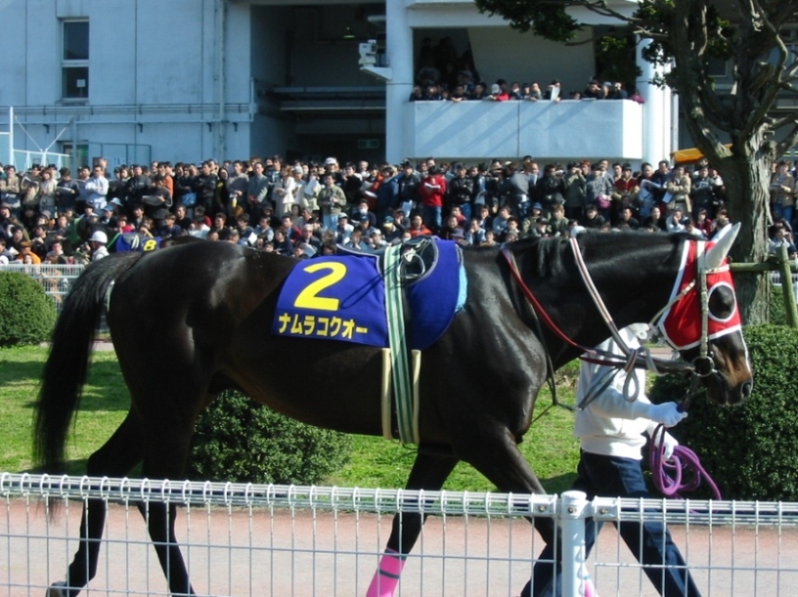 42279653e1 | 專家介紹 | 新的賽馬貼士模式贏馬廣場