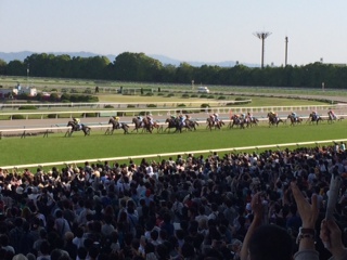 S.H. | 專家介紹 | 新的賽馬貼士模式贏馬廣場