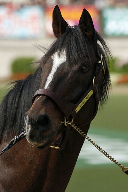 Dong Gun | 專家介紹 | 新的賽馬貼士模式贏馬廣場