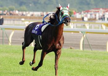 c9c364f049 | 專家介紹 | 新的賽馬貼士模式贏馬廣場