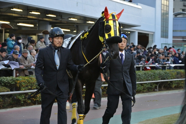 0b83e6128c | 專家介紹 | 新的賽馬貼士模式贏馬廣場