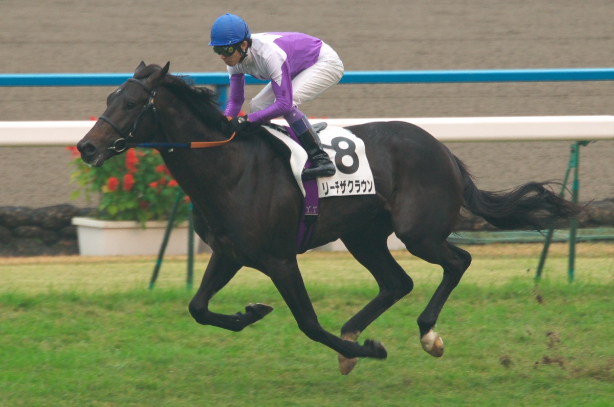 eccb73de51 | 專家介紹 | 新的賽馬貼士模式贏馬廣場