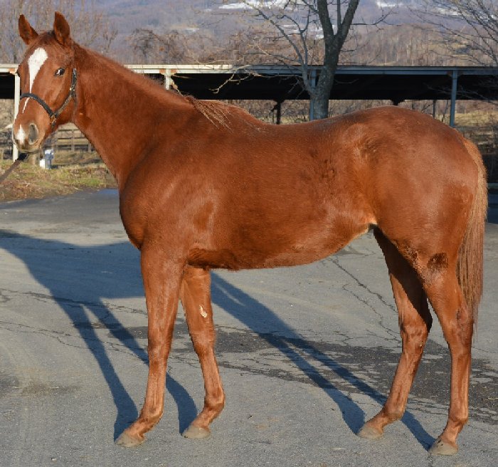 29d30e3de9 | 專家介紹 | 新的賽馬貼士模式贏馬廣場