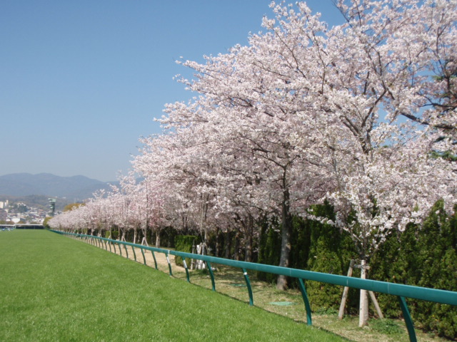 b9f47837b8 | 專家介紹 | 新的賽馬貼士模式贏馬廣場