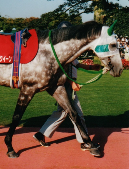 18904c8d9d | 專家介紹 | 新的賽馬貼士模式贏馬廣場