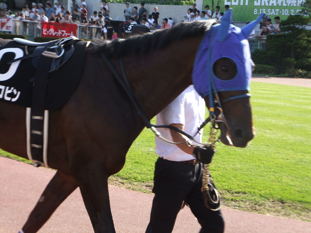 e9b6e5e4f2 | 專家介紹 | 新的賽馬貼士模式贏馬廣場