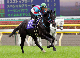 a481792b2a | 專家介紹 | 新的賽馬貼士模式贏馬廣場