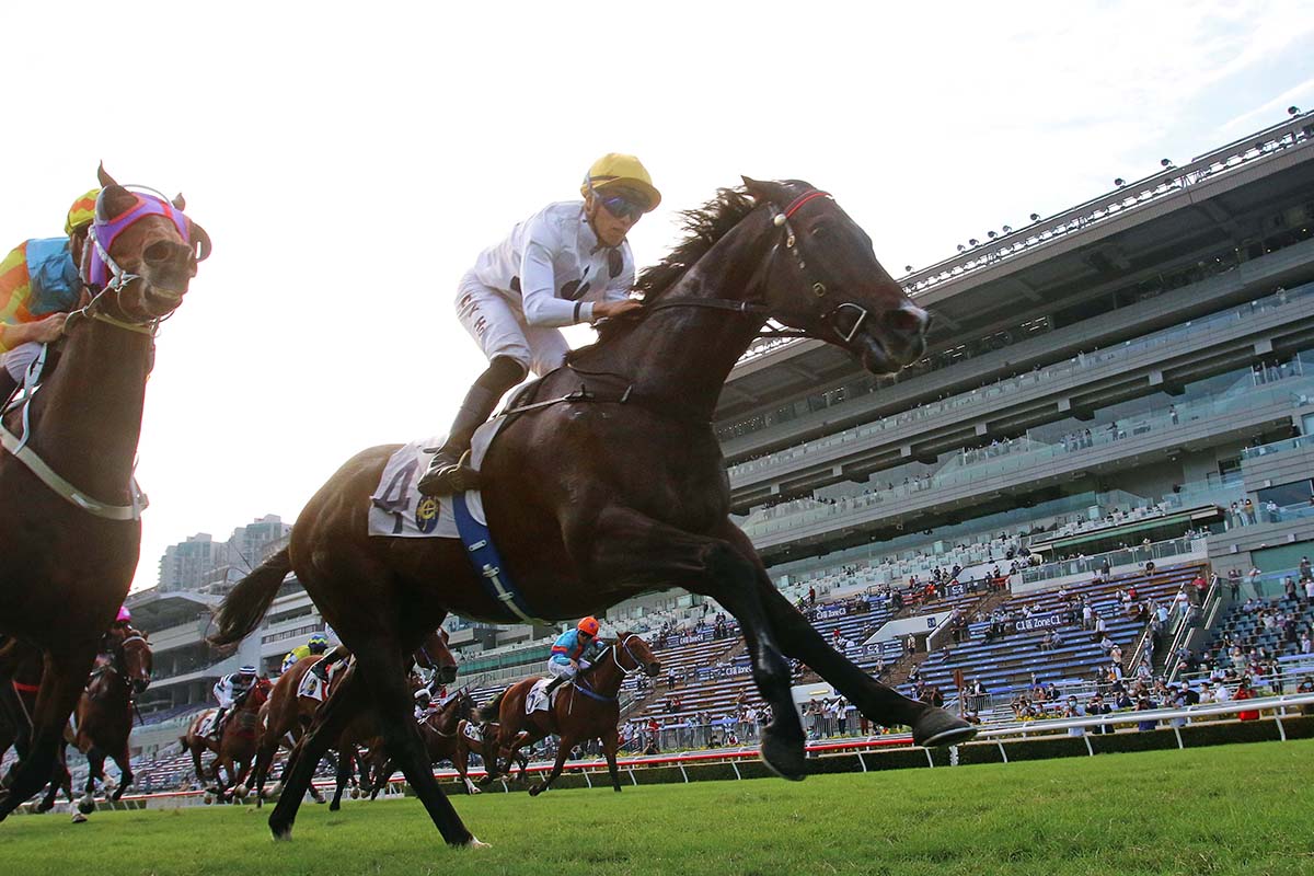 金鎗不倒 | 專家介紹 | 新的賽馬貼士模式贏馬廣場