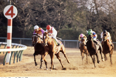 5a6da0fe5a | 專家介紹 | 新的賽馬貼士模式贏馬廣場