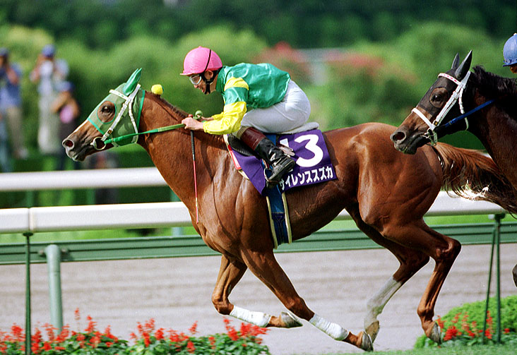 30dfe4e8a1 | 專家介紹 | 新的賽馬貼士模式贏馬廣場