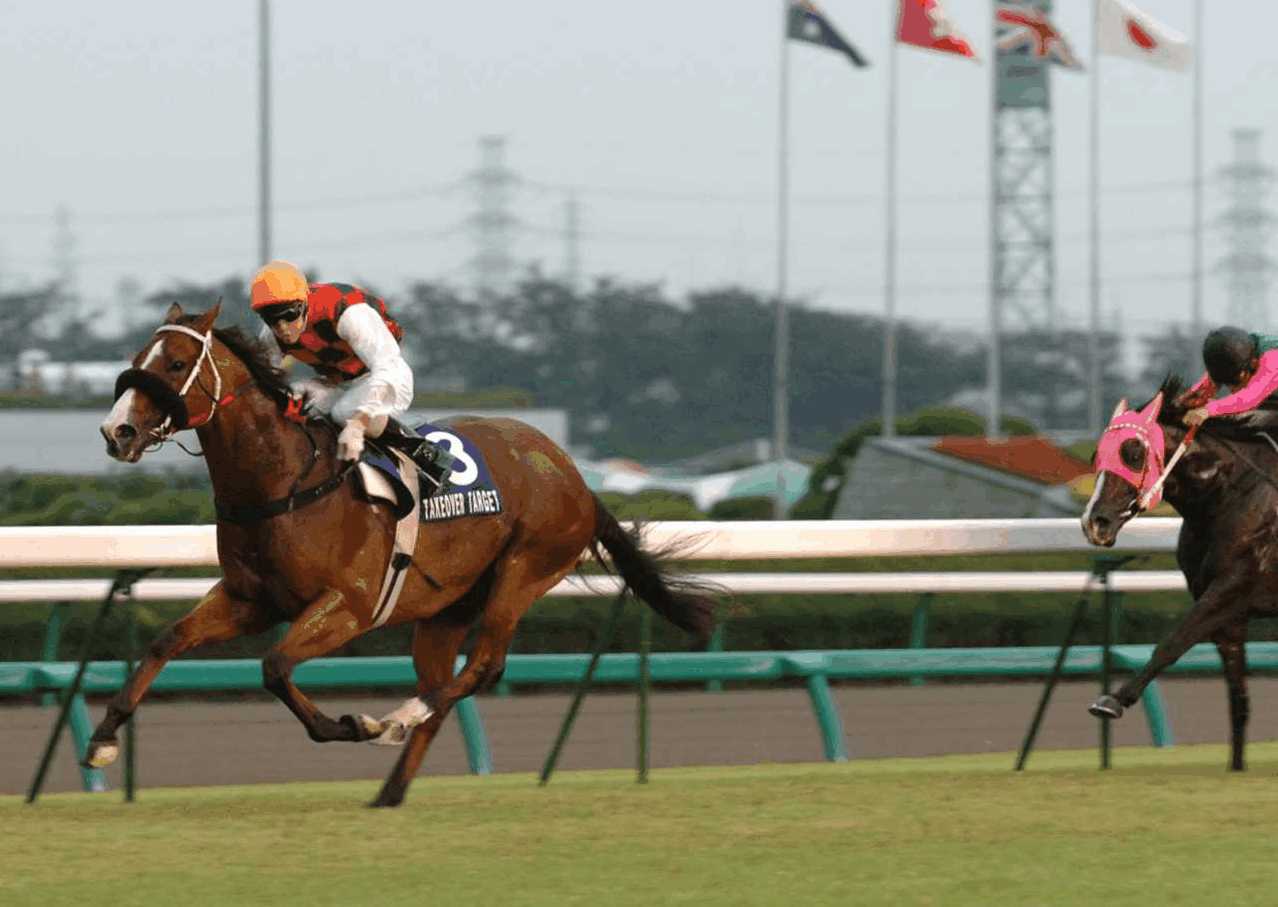 horsking | 專家介紹 | 新的賽馬貼士模式贏馬廣場