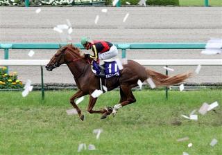 7372ee4f13 | 專家介紹 | 新的賽馬貼士模式贏馬廣場