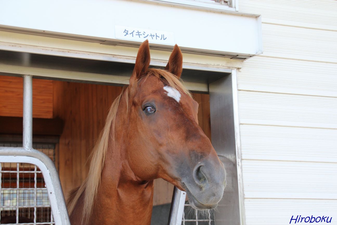 c5a69bfb28 | 新的賽馬貼士模式贏馬廣場