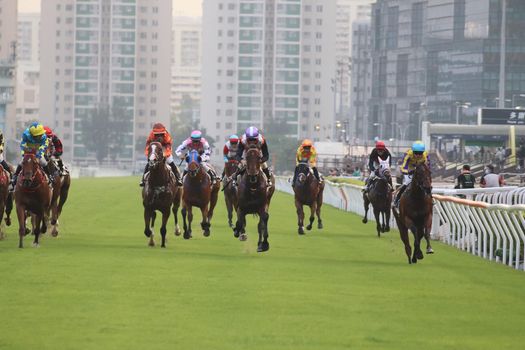 馬場新手 | 專家介紹 | 新的賽馬貼士模式贏馬廣場