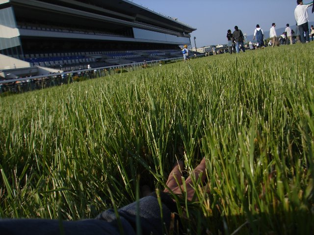 1b09a992db | 專家介紹 | 新的賽馬貼士模式贏馬廣場