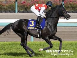 39bd1610d3 | 專家介紹 | 新的賽馬貼士模式贏馬廣場