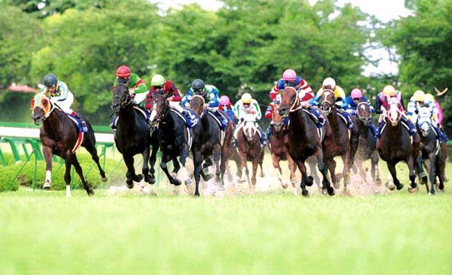 58bd56a68e | 專家介紹 | 新的賽馬貼士模式贏馬廣場