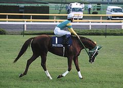 f326391f86 | 專家介紹 | 新的賽馬貼士模式贏馬廣場