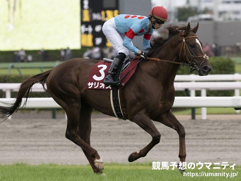 c36b36d09a | 專家介紹 | 新的賽馬貼士模式贏馬廣場