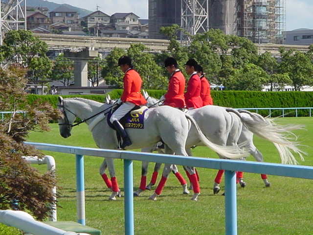 199e5c21b4 | 新的賽馬貼士模式贏馬廣場